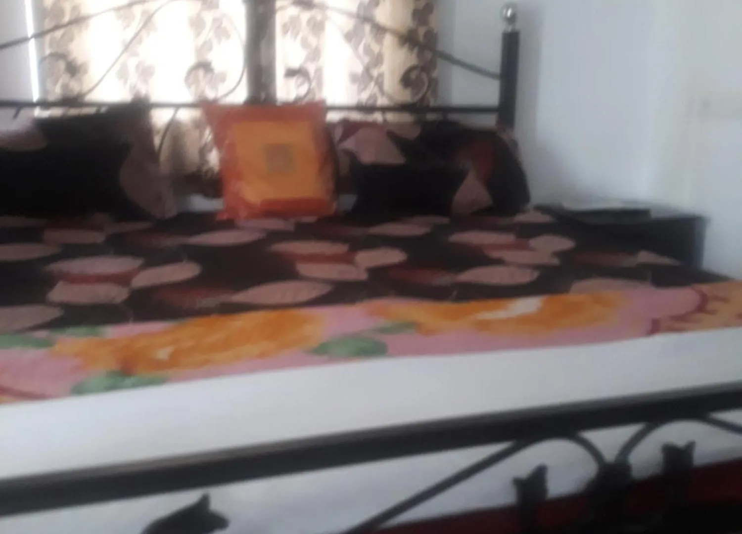 Gaj Niwas Hotel And Restaurant,Udaipur,Rajasthan India